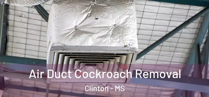  Air Duct Cockroach Removal Clinton - MS