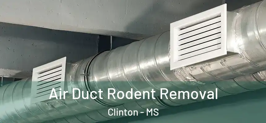  Air Duct Rodent Removal Clinton - MS