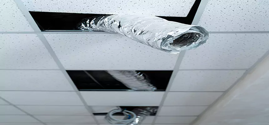 Our Air Duct Pet Hair Removal Services in Clinton, MS