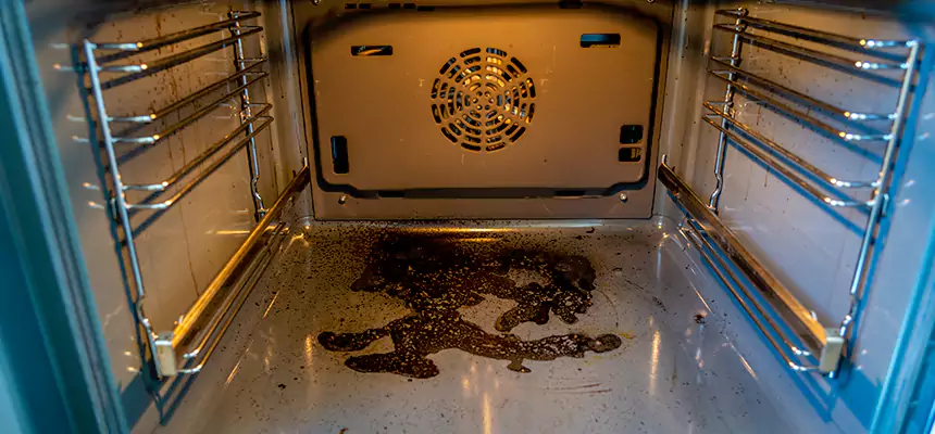 Our Dryer Vent Mold Cleaning Services in Clinton, MS