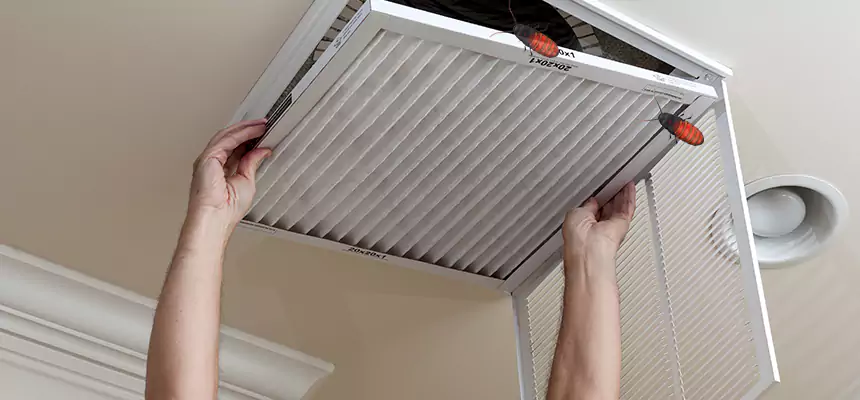 Our Insect Removal from Air Ducts Services in Clinton, MS