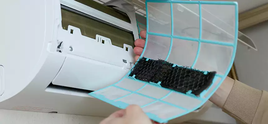 Gentle Ductwork Odor-Control Pet Dander Duct Cleaning in Clinton, MS