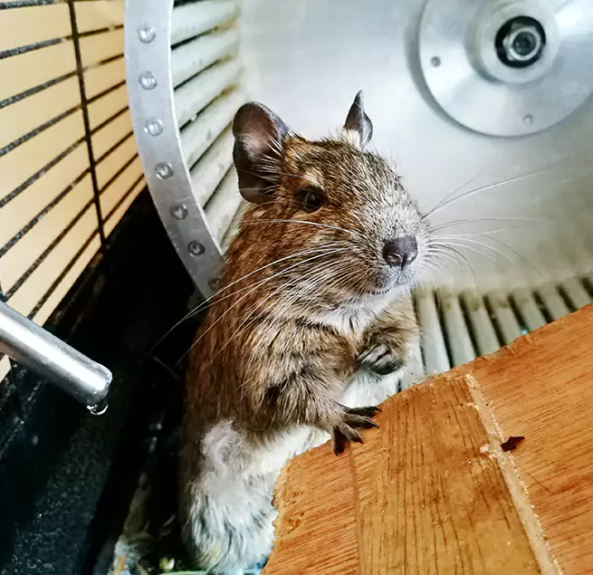 Why Homeowners & Businesses Trust Us Clinton, MS